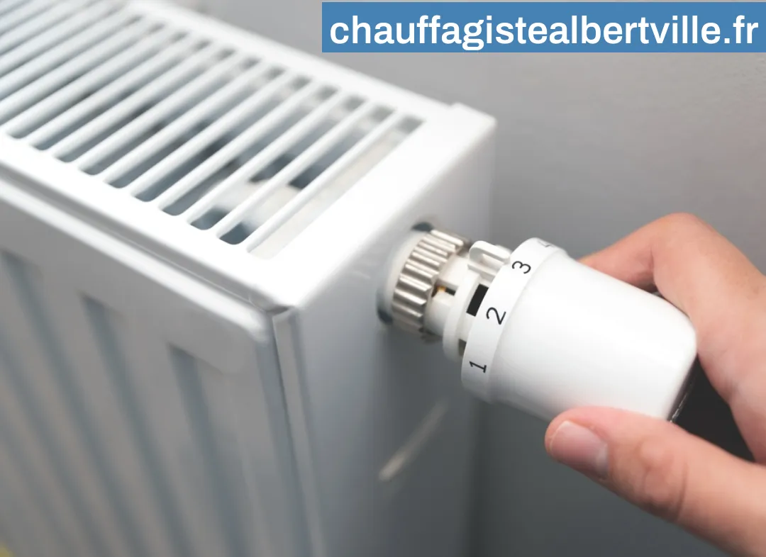 Remplacement de Thermostat Albertville